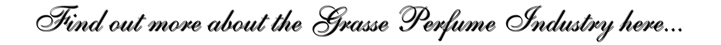 Grasse Perfume Industry Link